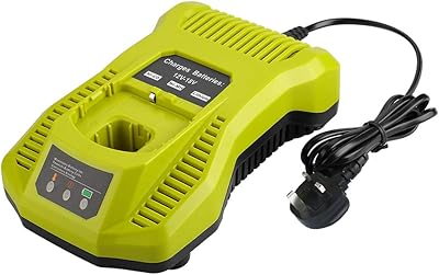 Intelli -port double chemistry charger for all Ryobi lithium batteries 12-18V OnePlus and charger.. Get unbeatable value on every order with DIAYTAR Nigeria.