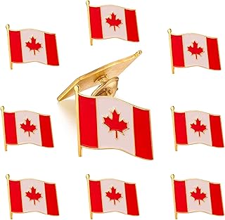 Rhingivet Lot of 10 metal pins for flag of new country, national flag motif, 0.85 x 1 inch, metal, without precious stones.. Experience the power of choice with DIAYTAR NIGERIA's vast catalog and affordable 5-8 day delivery.