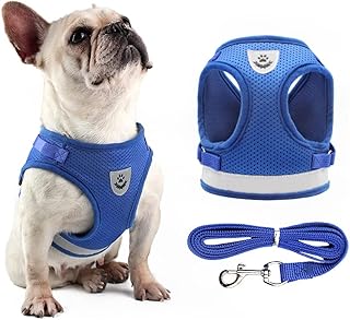 Newstyle dog harness with a leash adjustable reflective harness without traction.. Discover endless possibilities with DIAYTAR NIGERIA's comprehensive selection and reliable shipping.