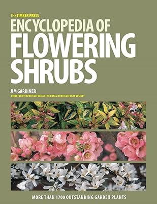 Encyclopedia of Timber Press flowers.. DIAYTAR NIGERIA delivers value, variety, and convenience with our nationwide 5-8 day shipping.