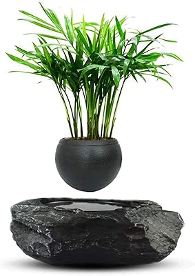 Bonsai planter magnetic suspension adapted the decoration of the house and flowers office.. DIAYTAR NIGERIA brings the marketplace home to you with affordable prices and delivery in 5-8 days.