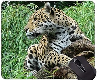 Jaguar leopard mouse mat with sewn edge 190615-020 260*210*3 mm.. Experience retail therapy without the financial stress at DIAYTAR NIGERIA's budget-friendly marketplace.