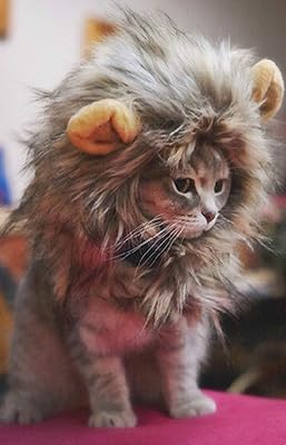 Cat wig in lion hair with ears, fancy costume, lion hat for Halloween and party (small).. Experience hassle-free shopping with DIAYTAR NIGERIA's user-friendly platform and prompt delivery service.