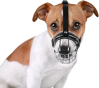 Bronzedog Wire Basket Jack Russell Terrier Museum Adjustable Leather and Metal for Puts Petit 2xs 43396-261874.. DIAYTAR NIGERIA makes online shopping accessible to all with budget-friendly prices and reliable delivery.
