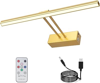 Rechargeable photo lamp for paintings with remote control, timer and variable intensity for sketches, supervision, portrait, dart set.. DIAYTAR NIGERIA: Where affordability meets variety, with thousands of products delivered in less than 8 days.