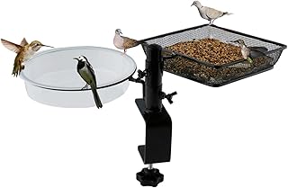 Bird feeder and water tank for Waosibo roosters (1 9 -inch package).. With DIAYTAR Nigeria, everything is within reach — and within budget.