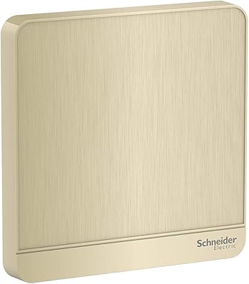 Avatar Schneider Electric on E8330X GH Hairlin, wall cover in gold metal with blank panel.. DIAYTAR NIGERIA delivers value, variety, and convenience with our nationwide 5-8 day shipping.