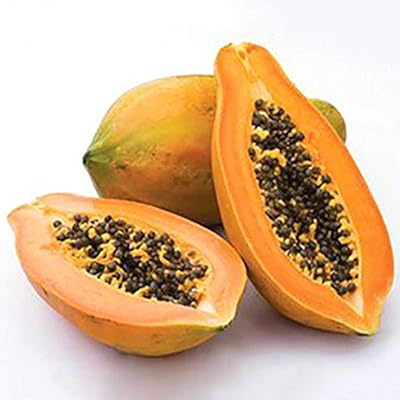 100pcs / bag of papaya seeds, papaya seeds soft yellow rare GMOs for the exterior plantation of garden patio, 1 papaya seed.. Discover the perfect shopping balance at DIAYTAR NIGERIA with competitive prices and prompt delivery.