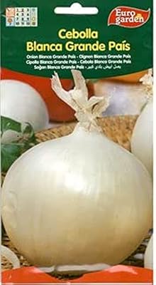 Euro Garden white onions.. Shop smarter with DIAYTAR Nigeria — affordable prices and a wide product range delivered in just 5 to 8 days.