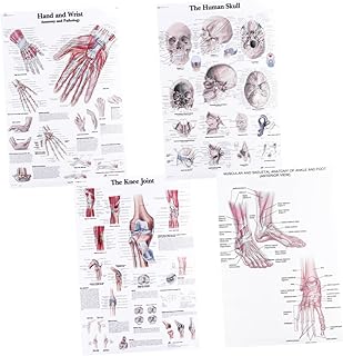 4 -piece lifkome poster photos of office wall wall for desktop Human posters anatomy poster muscular system anatomical poster decorative silk fabric for bone figure pp.. Your digital shopping destination, DIAYTAR NIGERIA combines variety with affordability and quick delivery.