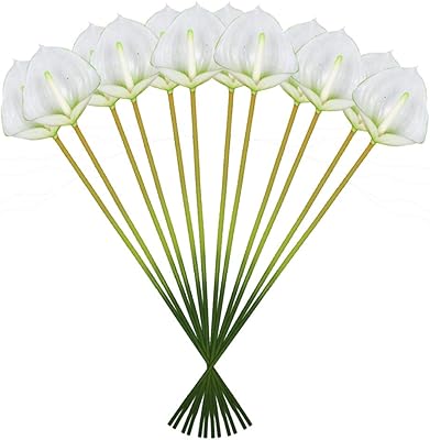 Yatai Real Touch Bouquet of Artificial Lys Flowers for the House, Wedding Event Decoration - Artificial plants - Calla night flowers in latex.. Shop millions of products across categories on DIAYTAR Nigeria — delivered right to your door.