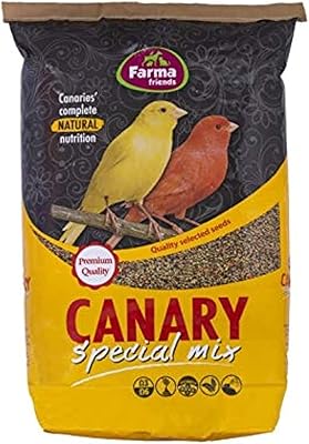 Combine Budget of Canary Budget, 20 kg.. Experience retail therapy without the financial stress at DIAYTAR NIGERIA's affordable e-commerce platform.