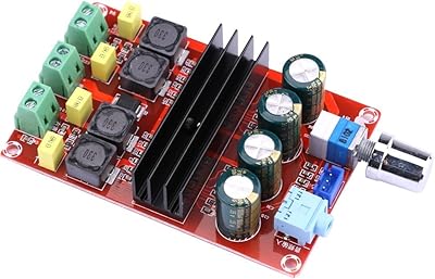 Double DolLatek Dollatek 2*100W TPA3116 D2 DC12V-24V DC12V-24V.. DIAYTAR NIGERIA: Where smart shoppers find everything they need at prices they can afford.