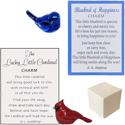 MMS Gifts Mini Cardboard Paper, 1 BlueBird Card, 1 Lucky Little Cardinal and 1 cardinal card in a box, Lot of 4.. DIAYTAR NIGERIA delivers on our promise of variety, affordability, and prompt nationwide service.