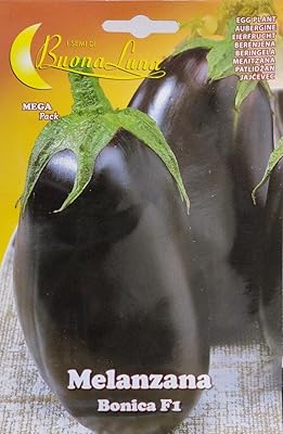 Punic eggplant F1 (Aubergine).. Love deals? DIAYTAR Nigeria has you covered with low prices and fast delivery.