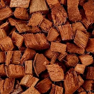 Facts of coconut shell Creative Farmer 1 kg - plants - 100 % natural growth.. DIAYTAR NIGERIA: Where smart shoppers find everything they need at prices they can afford.