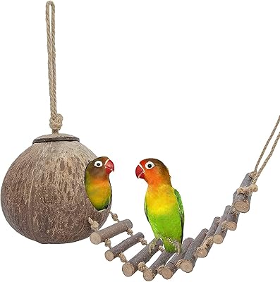 Newstyle coconut bird hut with parrot scale.. DIAYTAR NIGERIA: Where every search leads to affordable products delivered promptly across Nigeria.