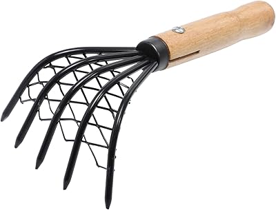 Hanabass 1pc with knife with knife digging tools rake with a panope rake with scratches with shellfish scratches to dig clam with clay with molish sea black seaside in stainless stainless steel razor.. Your digital shopping destination, DIAYTAR NIGERIA combines variety with affordability and quick delivery.