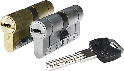 IFAM cylinder IRIDIUM SERIES M Model 035210IRM IRM3030N | Leader in the manufacture of anti -theft locks | Safety pump, nickel, 30 x 30 mm.. Elevate your shopping experience with DIAYTAR NIGERIA's vast catalog and budget-friendly options.