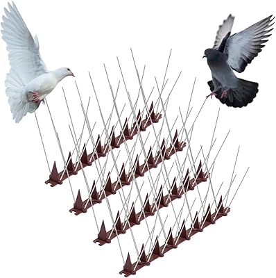 Stainless steel anti-bird tips for pigeons kit 98 "(12.. DIAYTAR Nigeria — the online store where variety meets value.