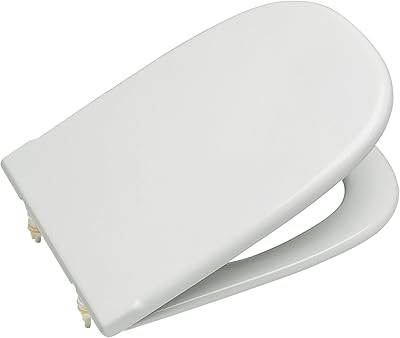 Shouting Roca Old Design Dama replacement WC with Standard bar hinges 801327004 White.. Shop from anywhere in Nigeria and receive your DIAYTAR purchases at affordable prices within a week.