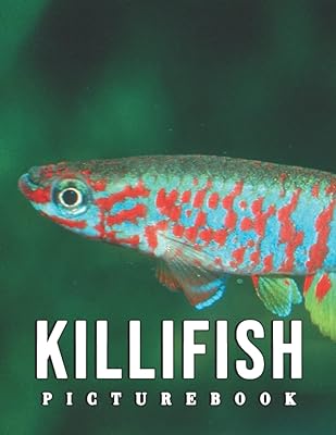 Killifish photo: collection of convincing photos of Killifish as an excellent gift for adults, adolescents and children to relax and relieve stress.. DIAYTAR NIGERIA: Bringing quality products to your doorstep at prices that won't break the bank.