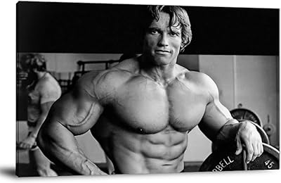 Arnold Schwarzenegger Arnold Schwarzenegger for Highling Decoration, Bedroom, 16 x 24 inches (40 x 60 cm).. Every order, every item — DIAYTAR Nigeria delivers fast and reliably.