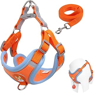 Beauty No Pull for Small Dog Harness Adjustable with 2.. Experience the future of online shopping with DIAYTAR NIGERIA's extensive product range and competitive pricing.