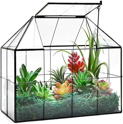 Large garden of succulents in the shape of a glass house with 9.8 "x 7.9" x 5.9 "lid not available.. DIAYTAR NIGERIA connects you with endless possibilities through our affordable e-commerce platform.