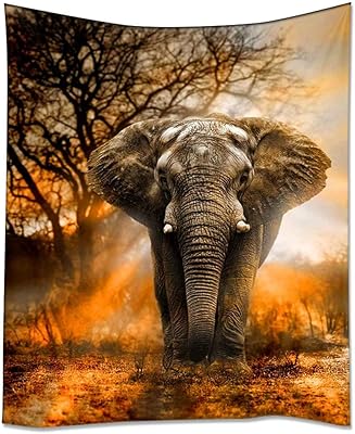 Elephant wall carpet Home H, sunlight of African animals, wall decoration to hang for bedroom, 60 "x 90", orange, orange.. DIAYTAR NIGERIA makes quality accessible with low prices and reliable 5-8 day nationwide delivery.