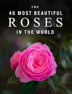 The 40 most beautiful roses in the world: a book of color images for the elderly suffering from Alzheimer's disease or dementia.. Fast, easy, and affordable — that’s shopping the DIAYTAR Nigeria way.