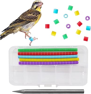 100pccs Vioprile bird's leg strips for rings of canary pinson zebra gould with 1 attachment (diameter 3 mm).. Your budget-friendly online marketplace, DIAYTAR NIGERIA delivers a world of products in just 5-8 days.