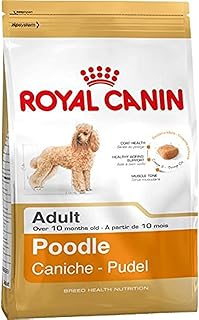Royal Canin Bread Health Nutrition Dog food for adult poodles - 1.5 kg.. Discover the joy of online shopping with DIAYTAR NIGERIA's budget-friendly prices and reliable shipping.