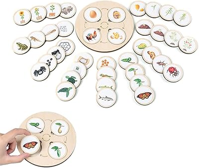 Montessori toy Gigiro Lifecycle Collection Planche De Puzzle du Cycle.. Shop the future with DIAYTAR NIGERIA - thousands of products, unbeatable prices, delivery within a week.
