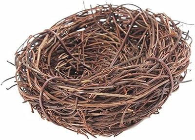 Homemade bird nest, handmade vineyard, natural crafts, holiday photo shoot, cute and practical garden decor.. From tech to toiletries, DIAYTAR Nigeria delivers without delay.