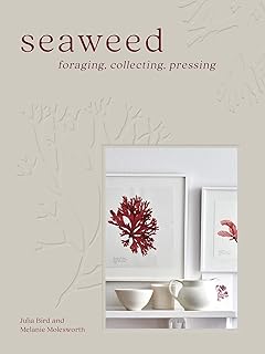 Algae: search for collection pressing.. Your ultimate shopping destination, DIAYTAR NIGERIA combines extensive selection with affordable shipping.