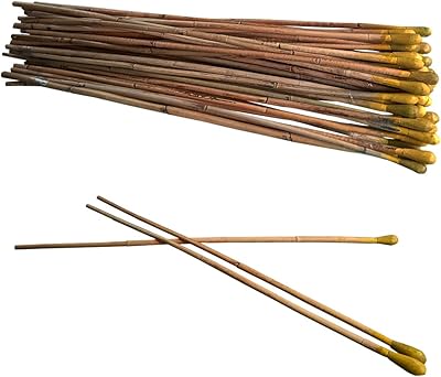 Hannah Lovan stick with support | Rattan raid bamboo | Natural branch sticks | Choral Valley | Sage Cabina | Campoo sticks | Yellow | Package of 3.. DIAYTAR NIGERIA brings the marketplace to every Nigerian home with affordable prices and quick delivery.