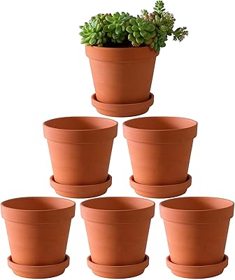 Large terracotta pots with saucer - pack of 6 large pots of terracotta flowers of 6 '' with drainage hole, flowerpot with tray, terracotta pot for inner and outdoor plant.. Your go-to destination for affordable online shopping, DIAYTAR NIGERIA delivers in under 8 days.