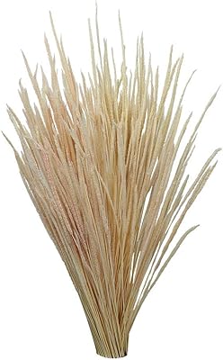 Yatai 4 packets of naturally dried feathered grass flowers, flowers preserved in large, stems of dried pampest grass for table centers, decorations of festivals and parties, interior flowers (peach).. Shop smarter with DIAYTAR NIGERIA's comprehensive catalog and budget-friendly 5-8 day delivery.