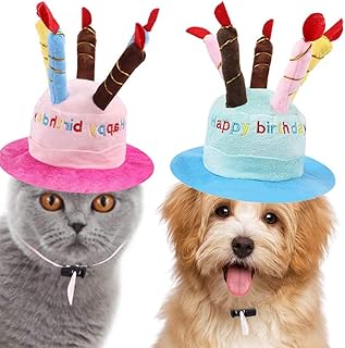 2 pcs birthday party hats for pets Kastwave adorable.. Fast, easy, and affordable — that’s shopping the DIAYTAR Nigeria way.