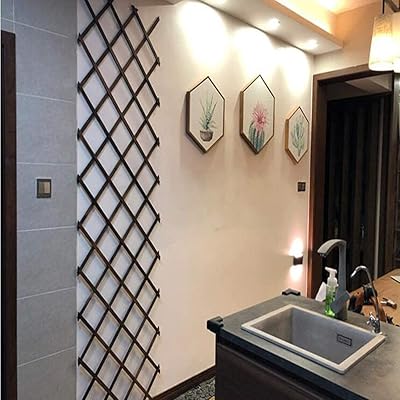 Extensible wooden garden fence Extensible wooden fence in bamboo bamboo fence trellis for wooden plants support for climbing vine flowers (105 cm (brown)).. You deserve better shopping — choose DIAYTAR Nigeria today.
