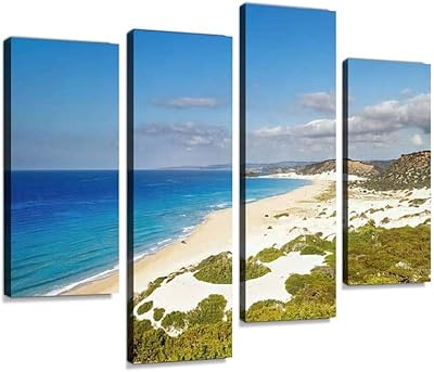 Golden Beach, Karpas Penezile, Northern Cyprus - Printing on framed wall canvas - abstract digital printing for living room, house, office, decoration ready to hang - 4 panels.. Shop across boundaries with DIAYTAR NIGERIA's comprehensive catalog delivered nationwide at budget rates.