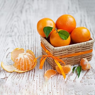 Pack of 200 orange seeds - Sowing kit of Bonsai fruit trees without GMO for domestic gardening 200 pieces of orange seeds #.. DIAYTAR NIGERIA: Your trusted partner for affordable online shopping with reliable delivery timeframes.