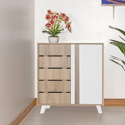 Home Box shoe cabinet 12 pairs with two Ford doors, dimensions 35.5 x 94 x 74.5 cm, white/brown.. Buy better with DIAYTAR Nigeria — the ultimate e-commerce platform in Nigeria.