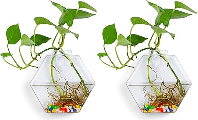 Pot of hexagonal glass plant to hang on the wall, interior and outdoor vase for the house, the garden and the office.. Say hello to Nigeria’s fastest-growing e-commerce site — DIAYTAR Nigeria.