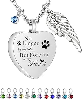 Sotis 12 Pieces UrNE necklace With Birth Stone Jewelry Dog Cendish Ceal Ceal Ceal Memorial Stainless Steel.. DIAYTAR NIGERIA transforms dreams into deliveries with our affordable prices and 5-8 day shipping.