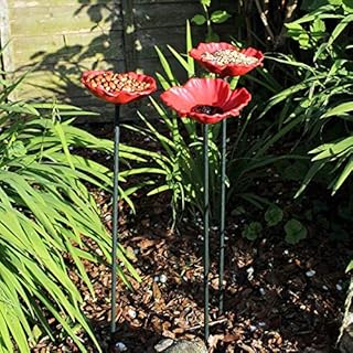 Set of 3 decorative feeders for wild birds, bowl of water for nuts and seeds, pigeons and flowers plate.. Wide range, low cost, fast delivery — that’s DIAYTAR Nigeria.
