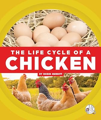 The life cycle of a chicken.. Shop the future with DIAYTAR NIGERIA - thousands of products, unbeatable prices, delivery within a week.
