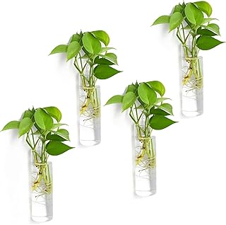 Alykdon hanging wall planter, glass jar suspended in glass, perfect glass vase for the spread of hydroponic plants, home, garden and wedding decoration, 4 rooms.. DIAYTAR NIGERIA: Your affordable gateway to thousands of products delivered within a week.