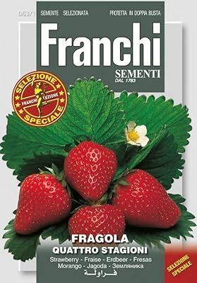 High quality strawberry seeds (fragme) of the DXB garden (ITALIA crosses).. Great products, lower prices, fast delivery — DIAYTAR Nigeria has it all.